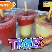 TROLES DE HELADOS SULTANA DEL NORTE